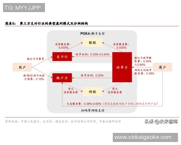 南京排球队状态对比分析：近期表现与潜力的深度剖析